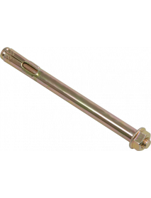 Болт анкерный с гайкой М10*75